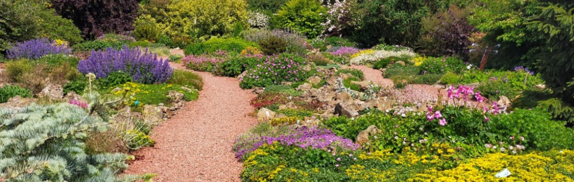 Rock Garden