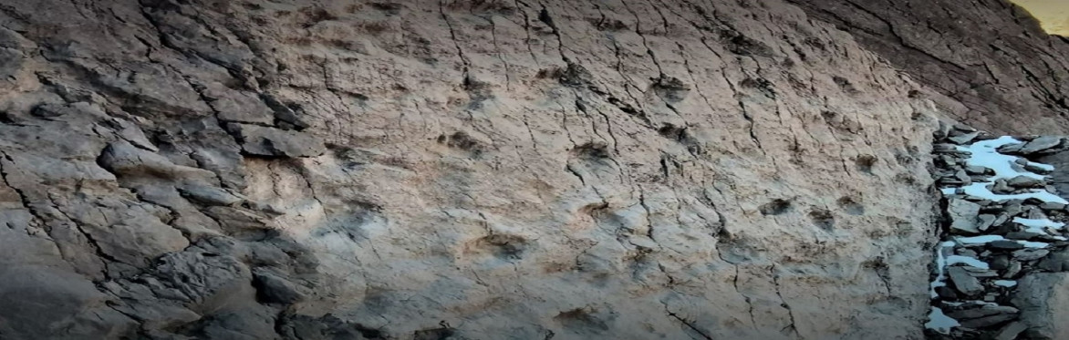 Trekking sulle tracce dei dinosauri