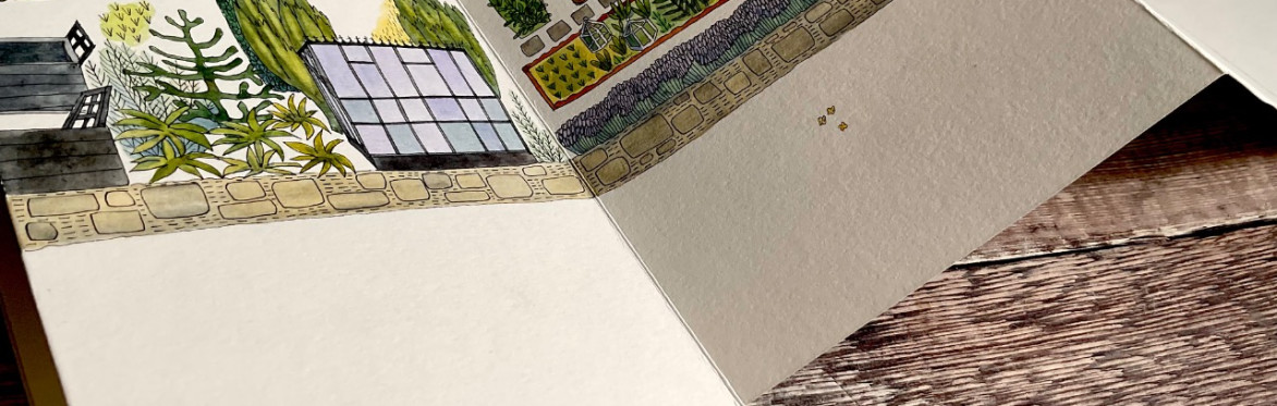 Walking & Mapping the Garden: 1 day workshop