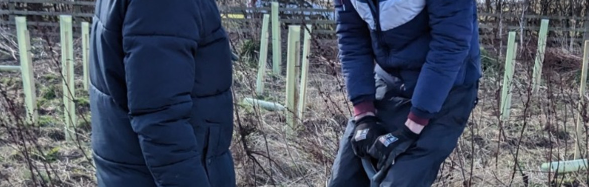 Team Tree Planting Day