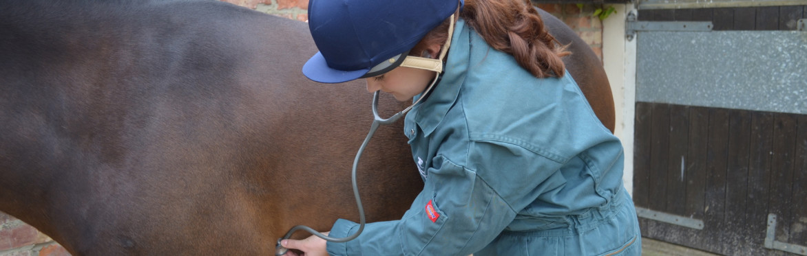 REACT now to beat colic is 10!