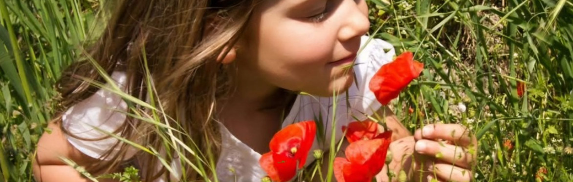 LITTLE GIRL SMELLING POPPY FLOWER