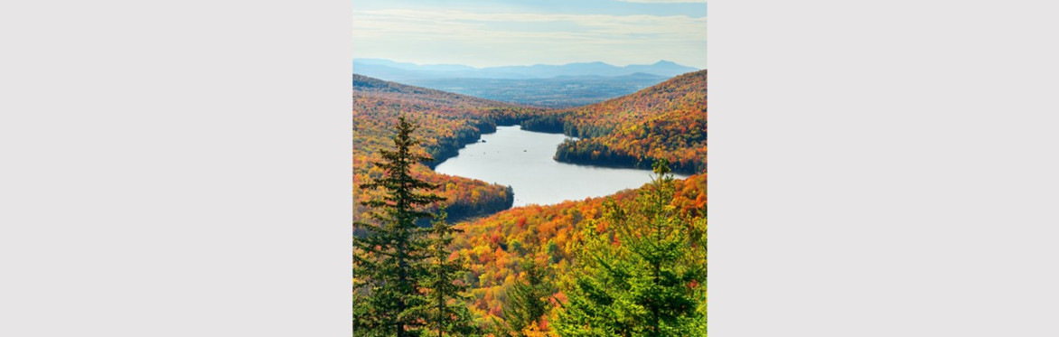 Vermont Trout Hikes
