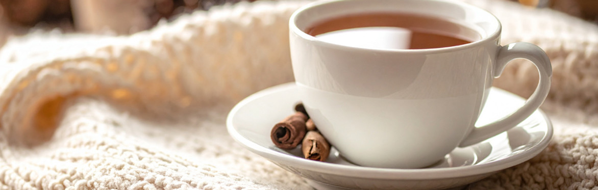 Holiday Tea at the Dey Mansion