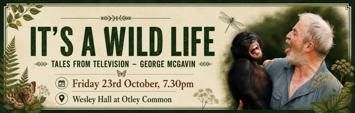 It's a wild life - Tales from television - George McGavin