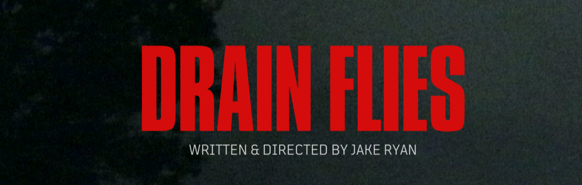 Title: Drain Flies