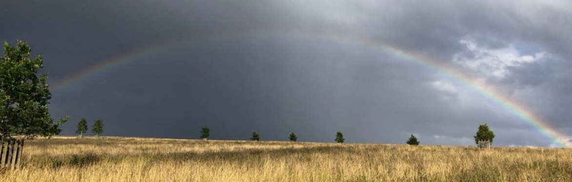 Online Climate Cafe - July 2026