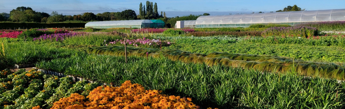 New Customer Introduction and Nursery Tour