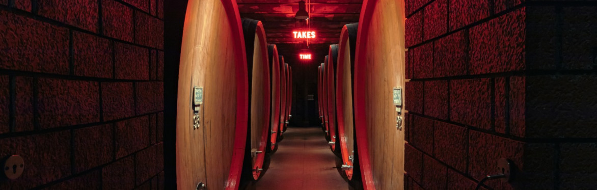 Visita guidata alle Cantine dell'Amaro Braulio