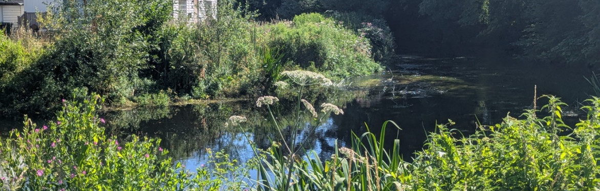 Archiving the River Stour