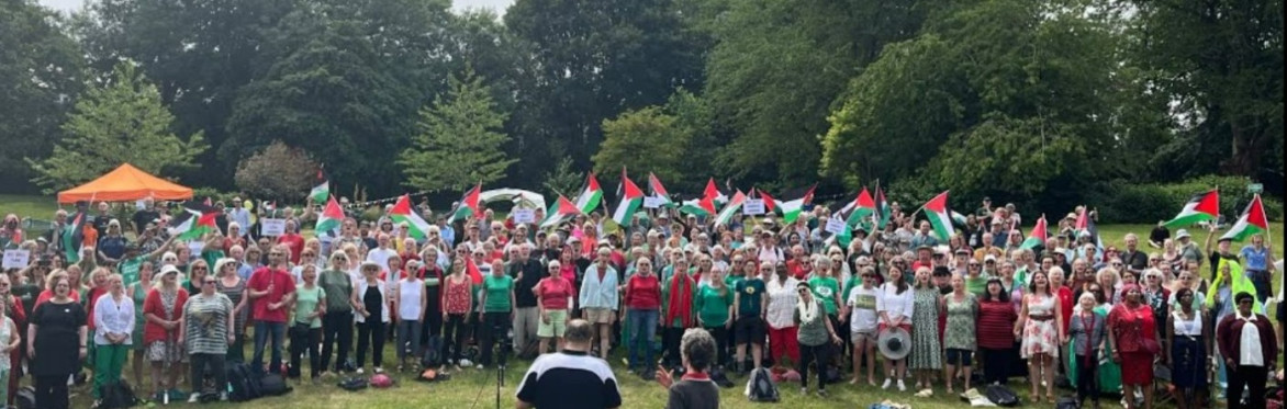A group of several hundred singers with Palestine flags at the Big Sing in Meersbrook Park in the summer
