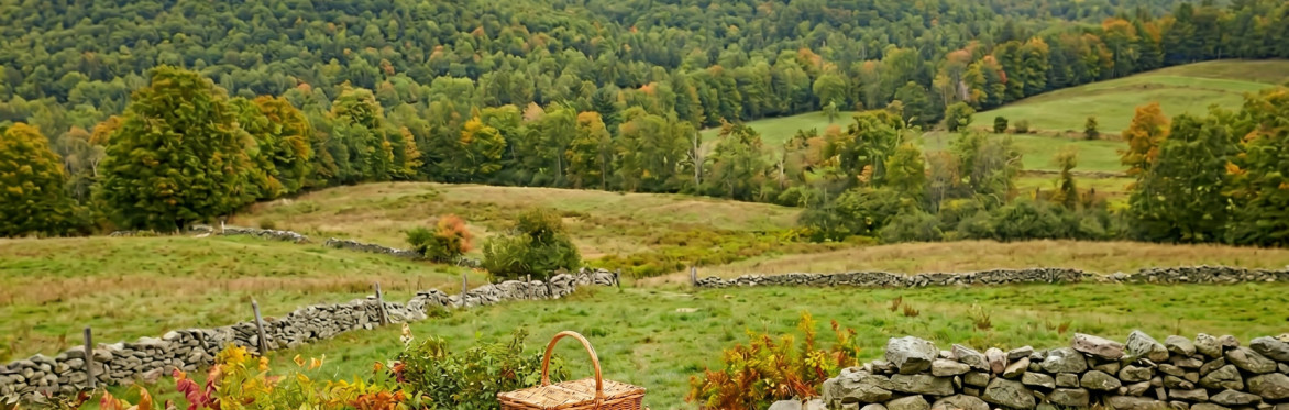 rolling hills and picnic basket.