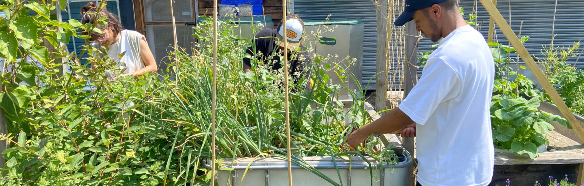 RtG Drop-In Open Garden Session 4: R-Urban Poplar