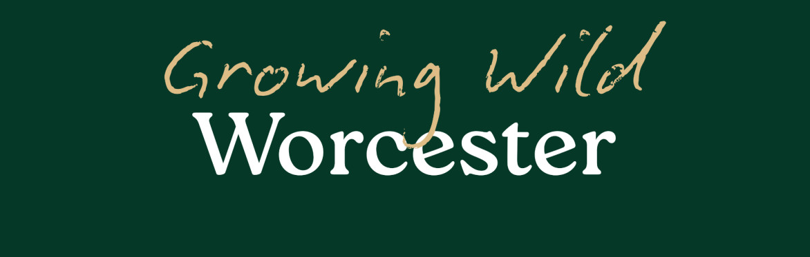 Introduction to Foraging