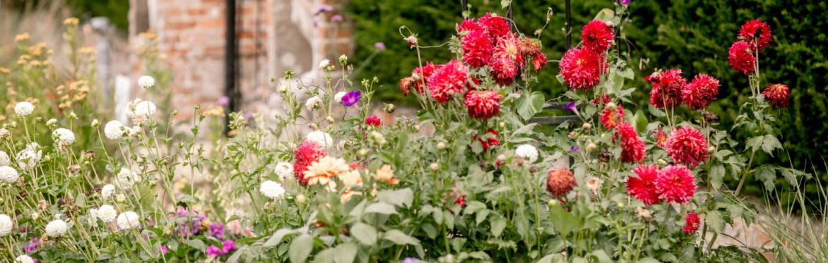 Evening Garden Tour at Nedging Hall