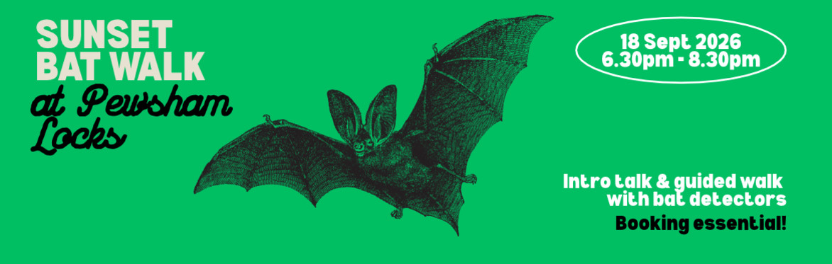 Sunset bat walk at Pewsham Locks