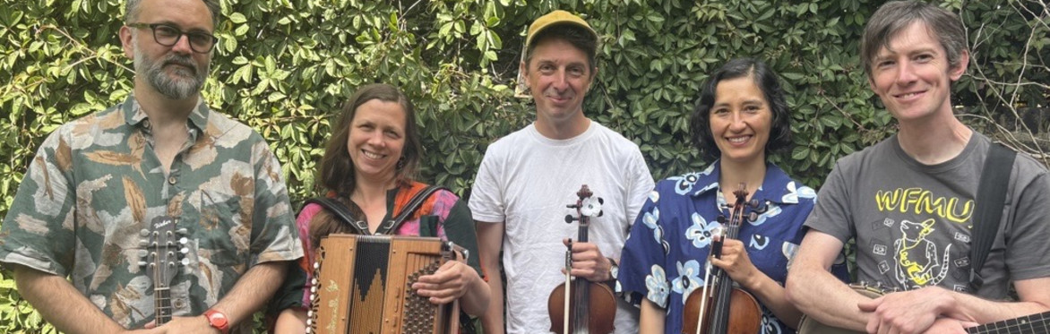 Ceilidh Dance with the Hedgepigs