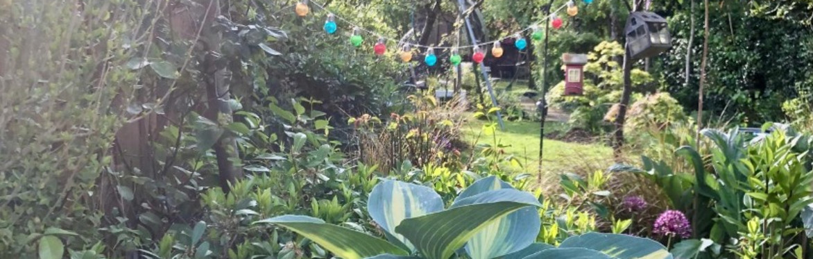Resilience Garden Workshop