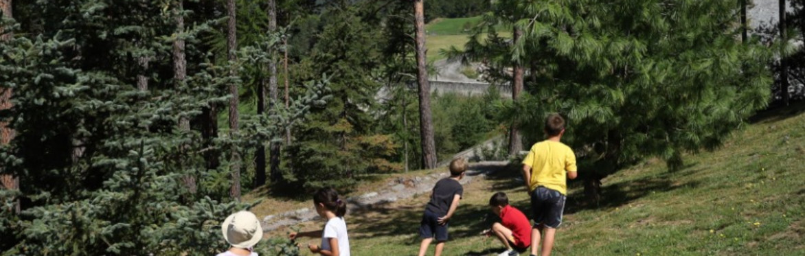 Piante in viaggio - Laboratorio per bambini