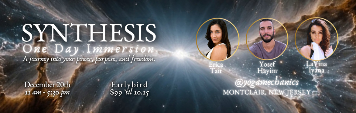 SYNTHESIS One-Day Immersion
