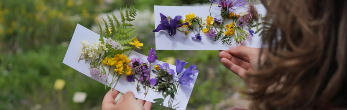 Piccoli esploratori del Giardino