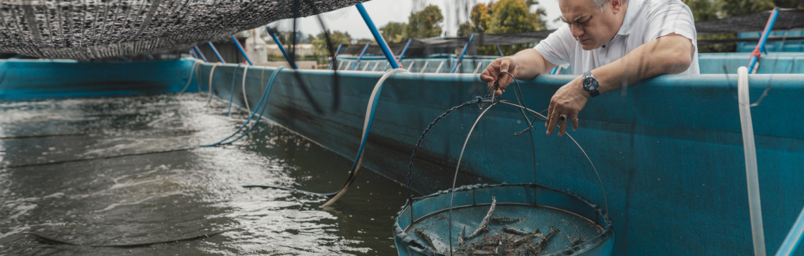 Doctor Shrimp Academy - Entrepreneurship in Shrimp Farming