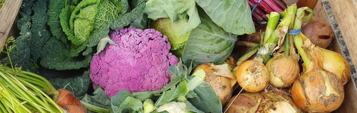 Get Growing! A beginners guide to growing vegetables