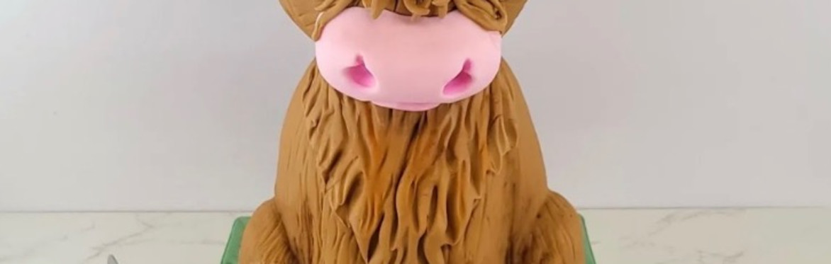 Cake Decorating Workshop - Highland Cow