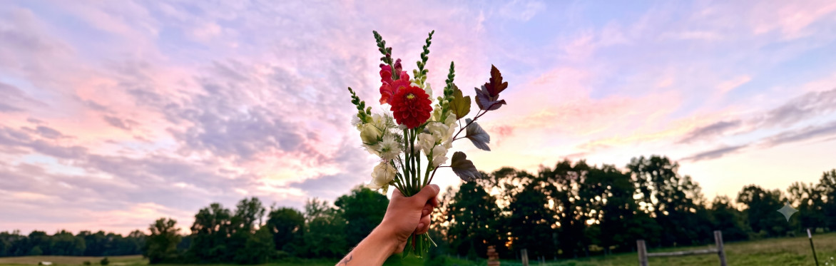 Snip at Sunset - Cut your own bouquets