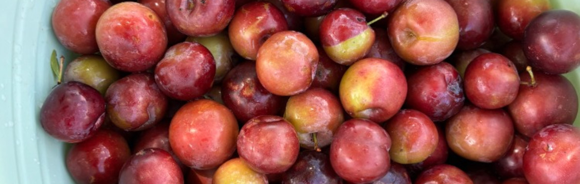 How to make Fruit Cordial