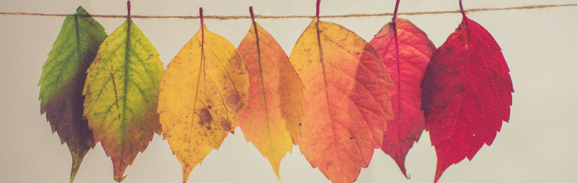 Autumn Reflections: A writing group.