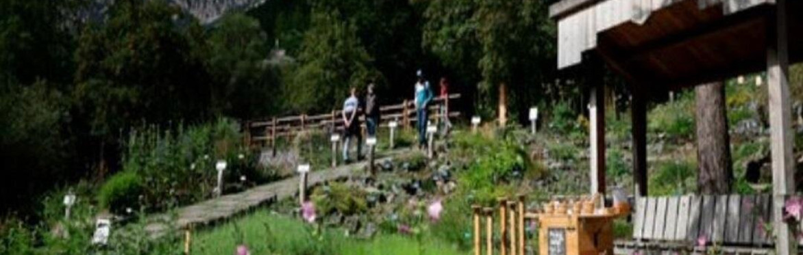Visite guidate al Giardino Botanico