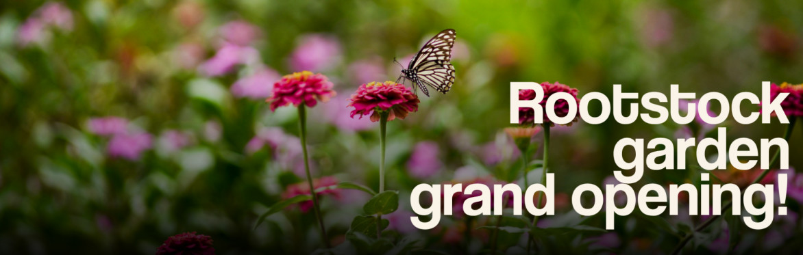 Rootstock Garden GRAND Opening!
