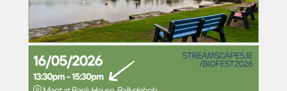 'Estuaries Uncovered' Ballydehob Estuary Guided Walk