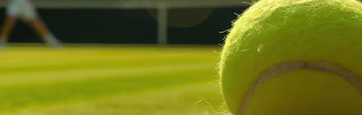 FREE ENTRY: Lost Oasis x WIMBLEDON Men's Final Day presented by Childrensalon