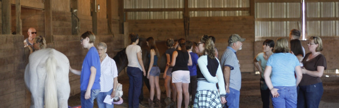 A group of people stand and walk in an arena among loose horses and toys/props such as hula hoops and pool noodles