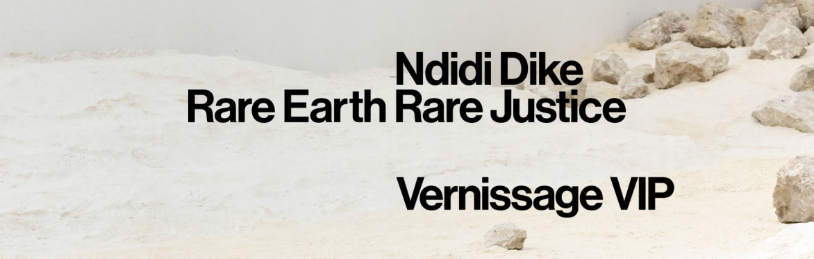 Vernissage: Ndidi Dike – Rare Earth Rare Justice VIP