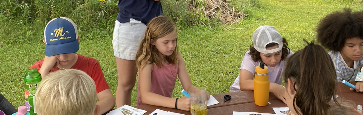 Watershed Species Illustration and Short Trail Hike
