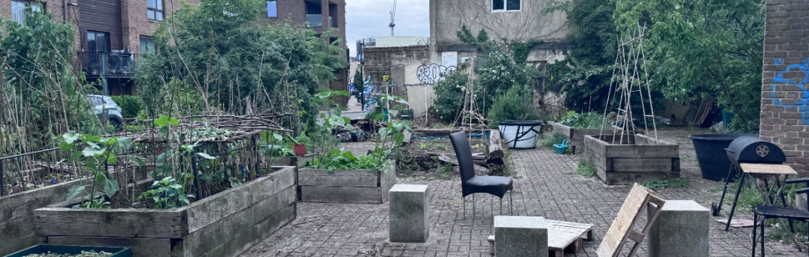Community Garden Revival at Lark Row