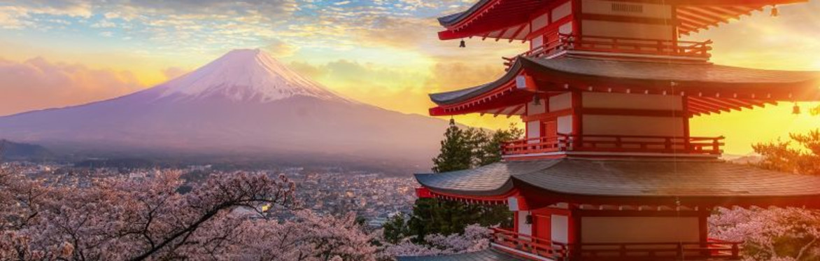 The Span of Japan featuring artist Nishiki Sugawara-Beda - an immersive experience