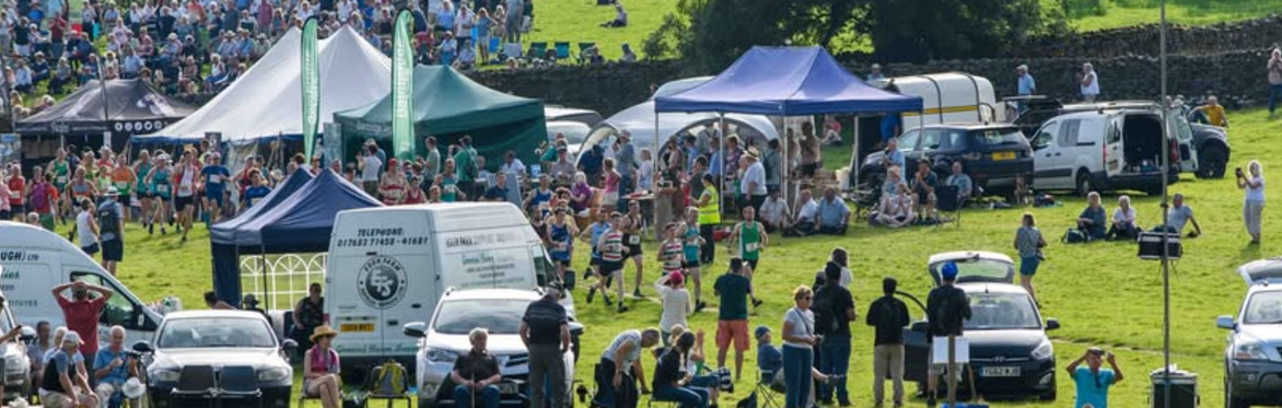 Show Field