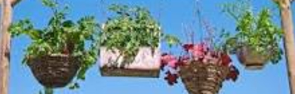 Seasonal Maker @ Fur Clemt - KITCHEN GARDEN BASKETS
