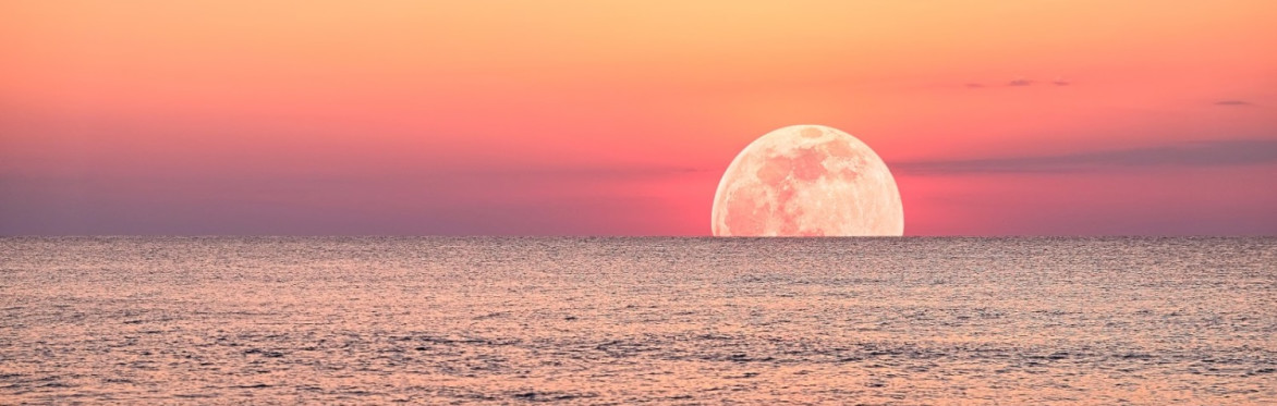 🌕 Strawberry Full Moon in Capricorn – A Night of Release, Grounding & Empowerment 🌊✨