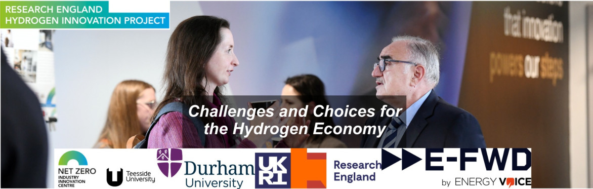 Challenges and Choices for the Hydrogen Economy
