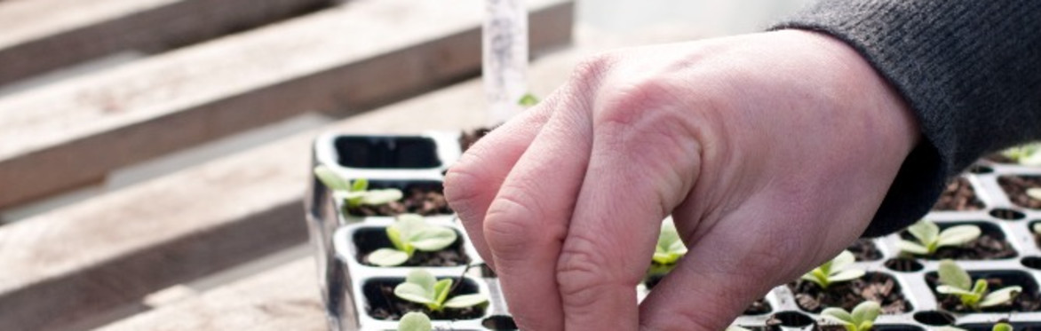 Ardagh Community Nursery Workshops