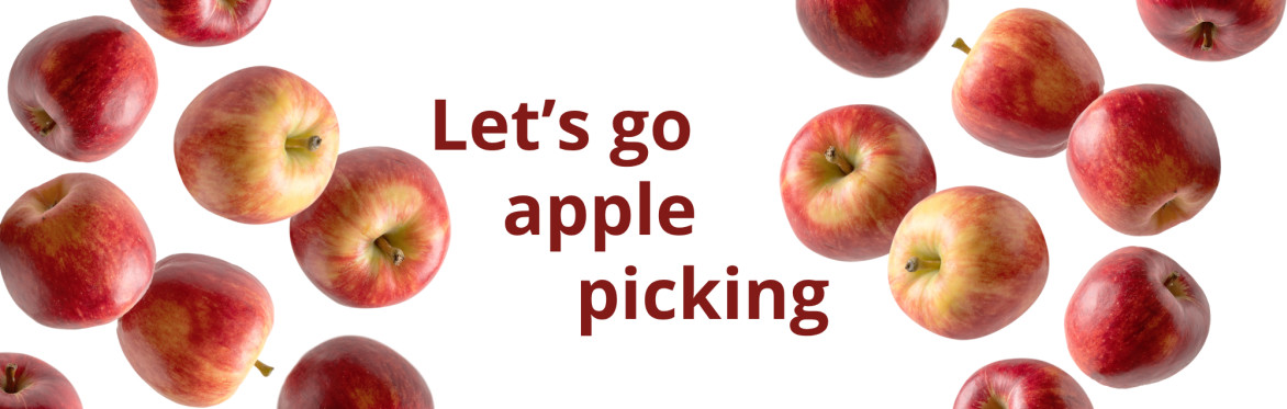 Let's Go Apple Picking