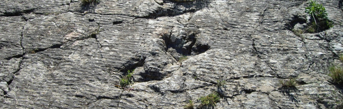 La valle dei dinosauri