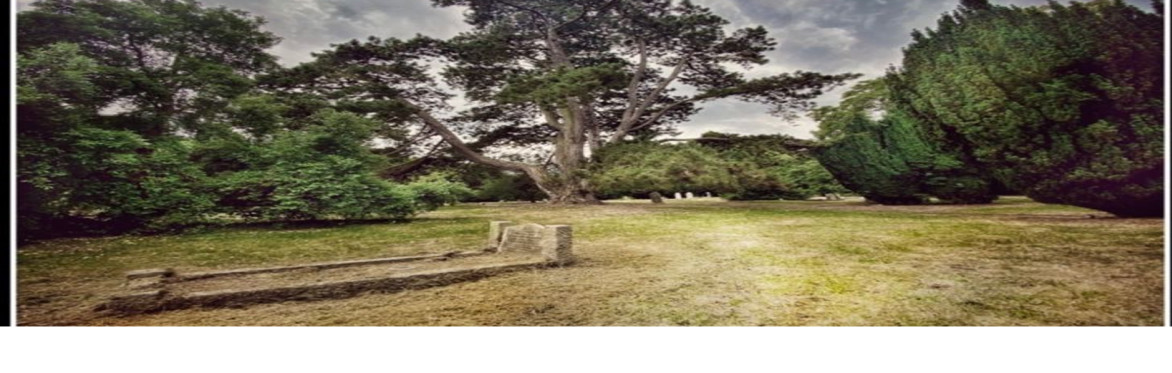 Photograph of Colchester Cemetery