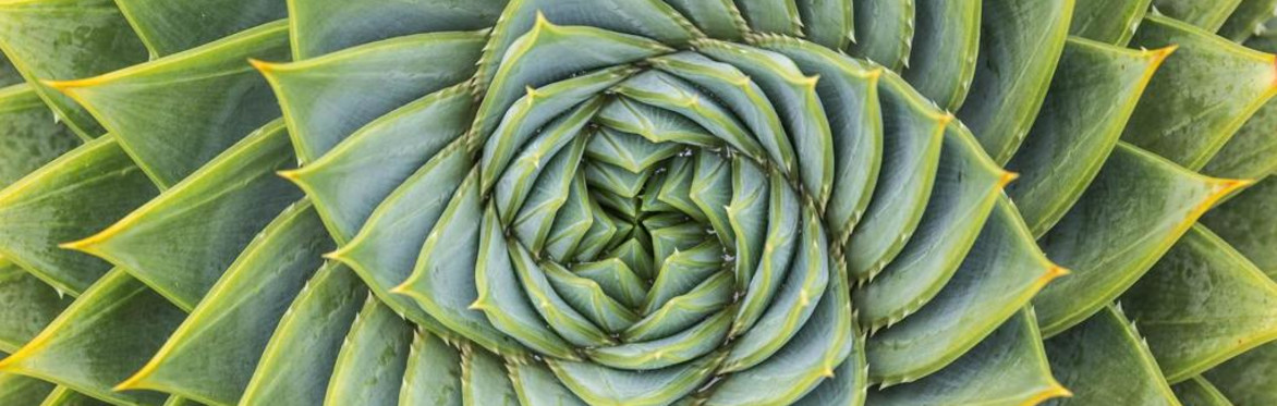 Practicing Energy Healing for the Land