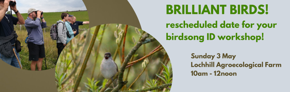Brilliant Birds! A birdsong ID workshop